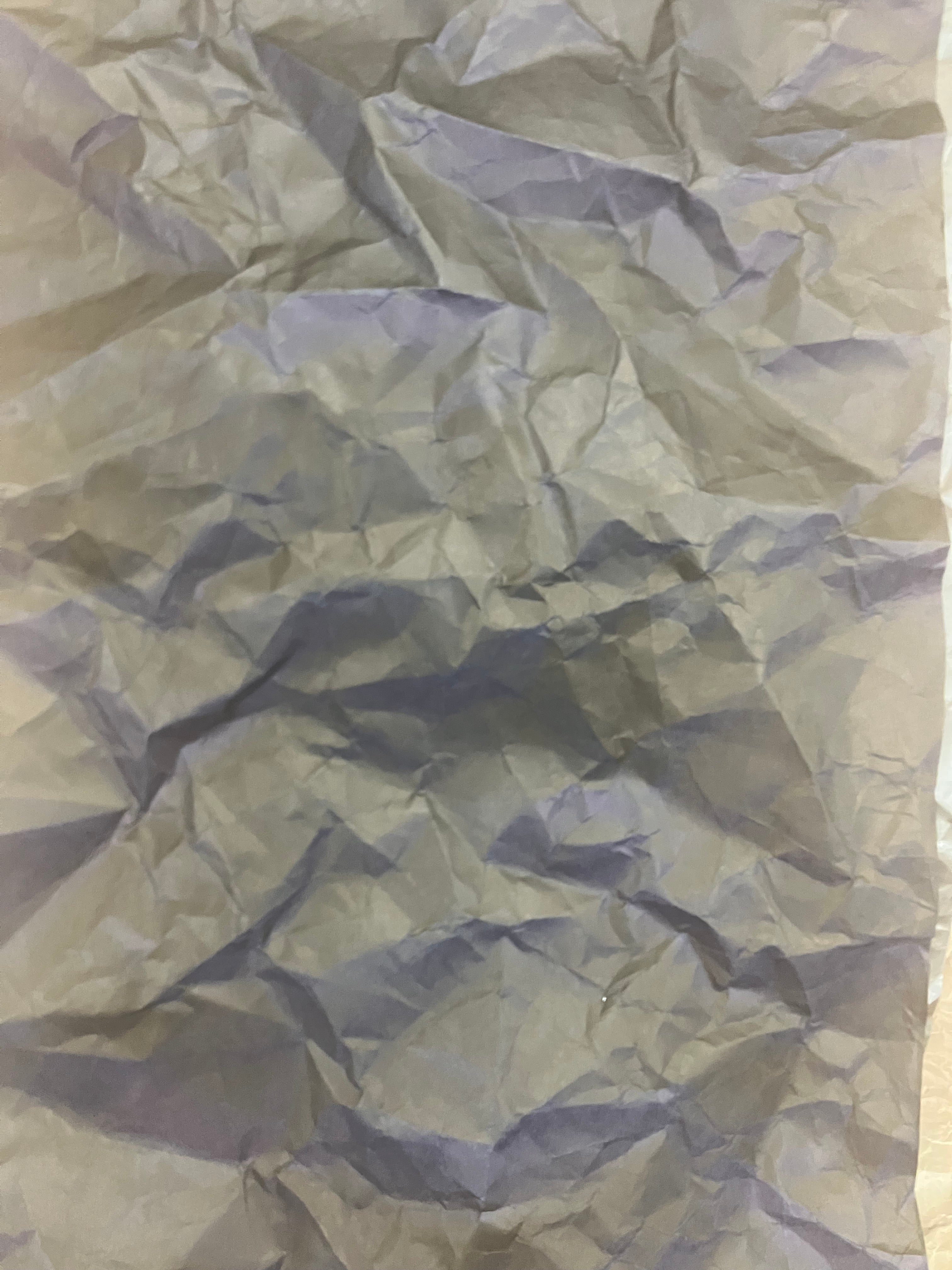 今日の一言